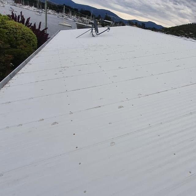 Residential roof cleaning service
