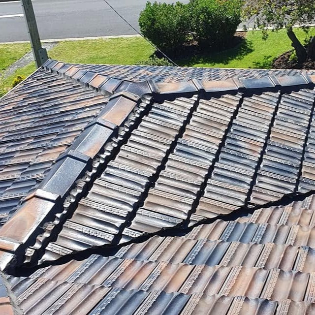 Roof moss and algae removal