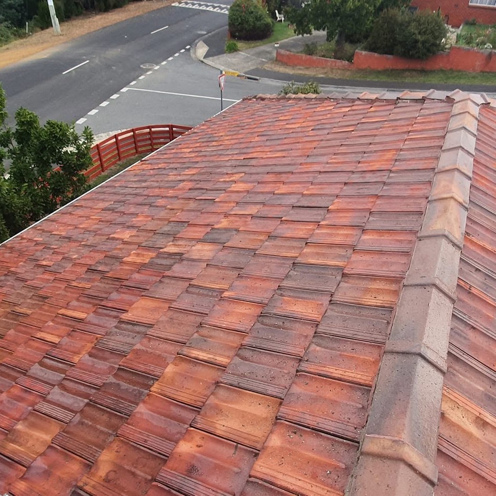 Professional roof cleaner at work
