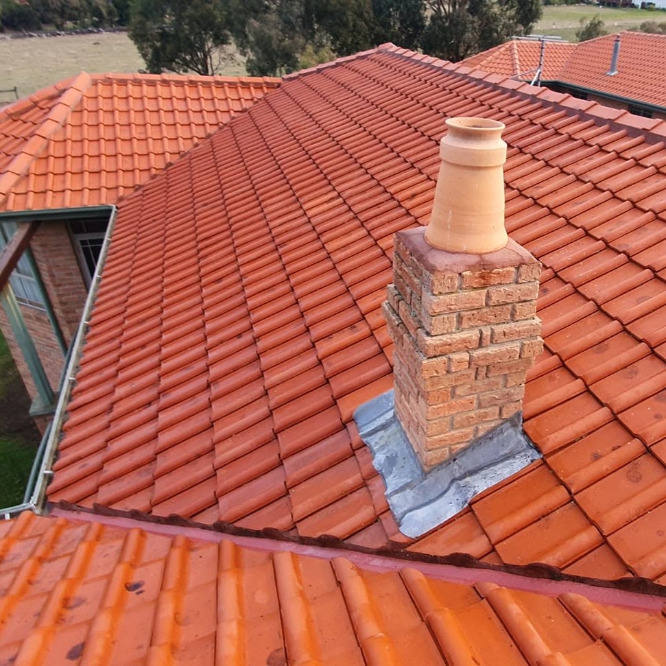 Roof cleaning